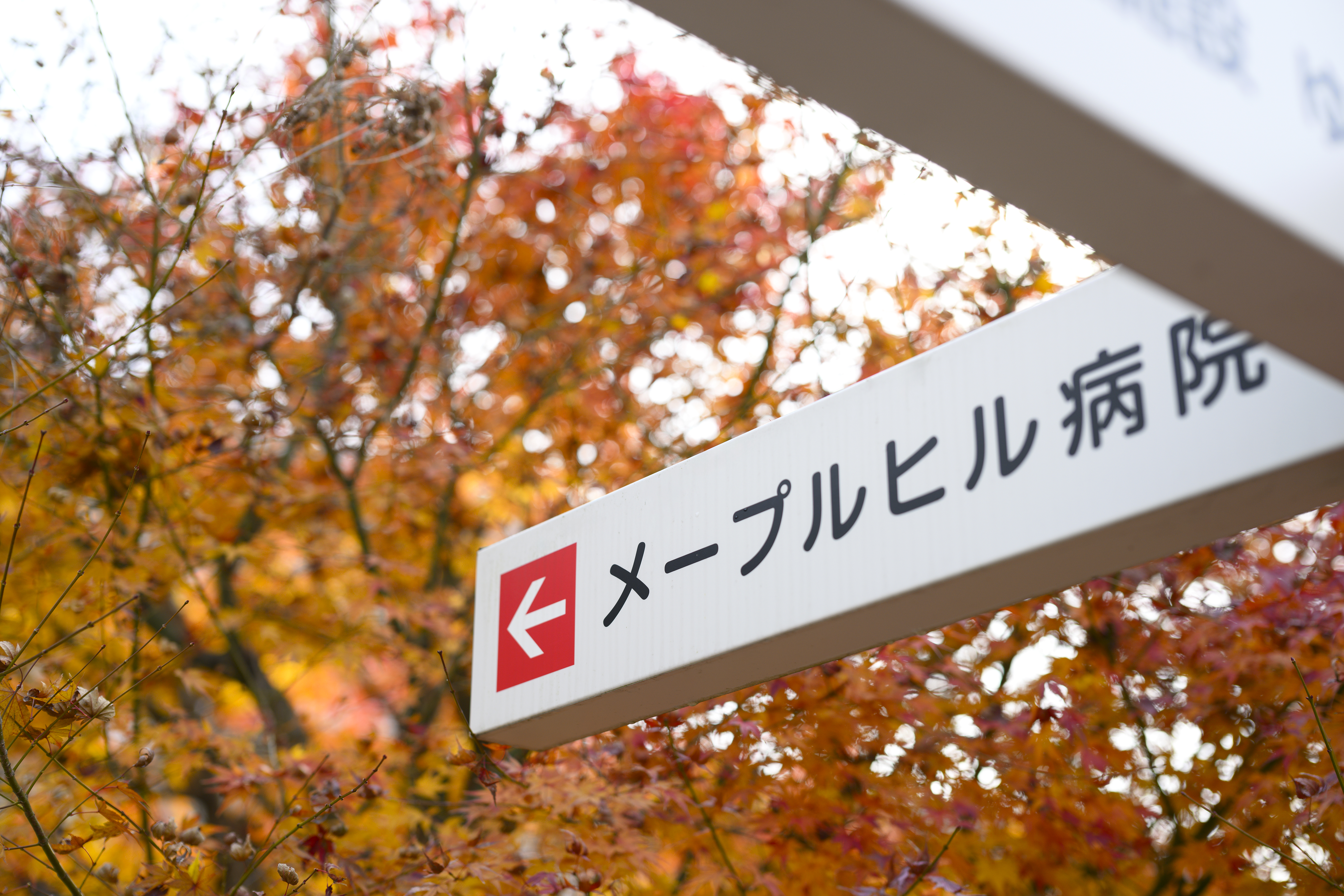 当院における不適切行為に関するお詫びとご報告